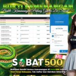 BUKTI JACKPOT SLOT WILD BOUNTY SHOWDOWN TERPERCAYA DI INDONESIA TGL 09-05-2025
